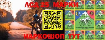 прущие грибы Будённовск