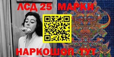 прущие грибы Будённовск
