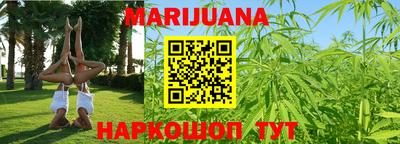 прущие грибы Будённовск
